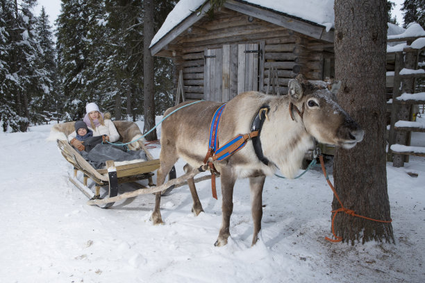 驯鹿手法骑图片下载
