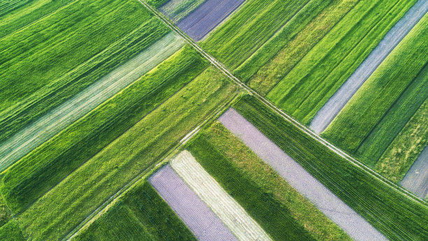 在球场上划船。自然空中景观对农业的主题图片下载