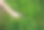 孩子用放大镜探索大自然的特写照片图片下载