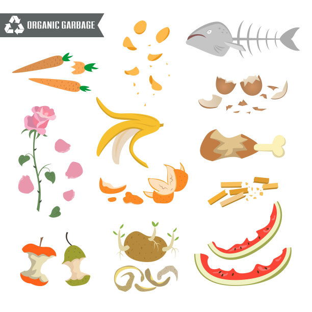 白色背景上的有机垃圾。图片下载