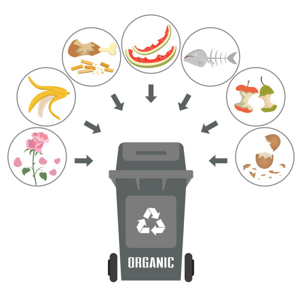 白色背景上有有机垃圾的容器。图片下载
