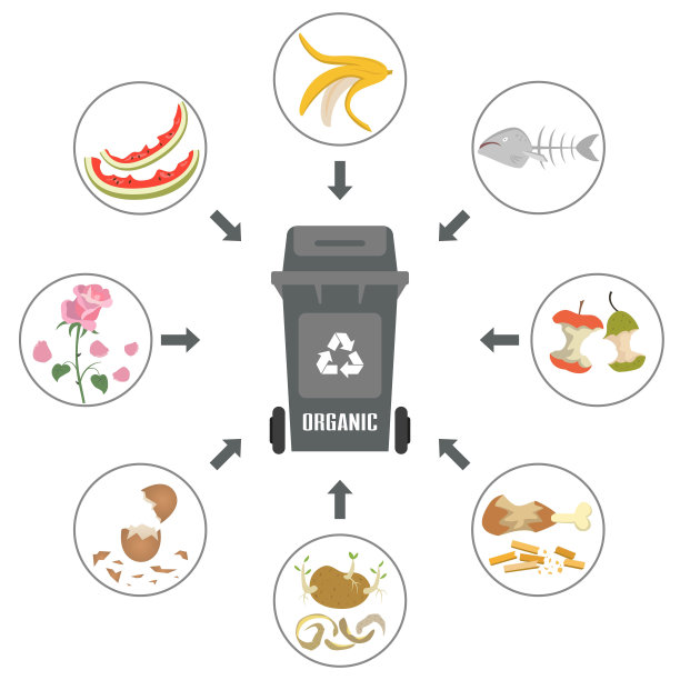 白色背景上有有机垃圾的容器。图片下载