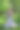 女人在森林中的白天(没有阳光的版本)图片下载