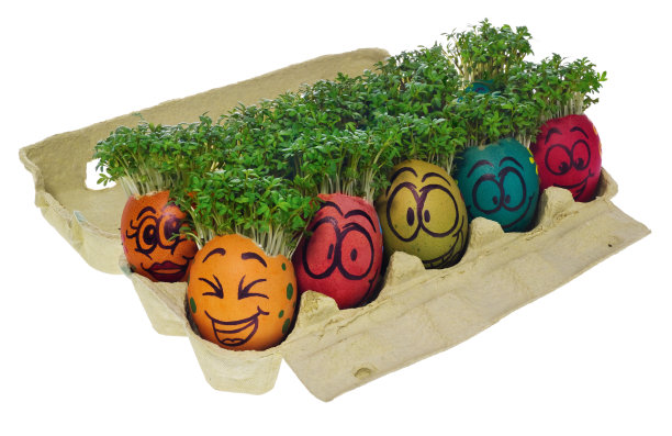 复活节彩蛋画在一个有趣的笑脸和色彩丰富的图案与水芹状的头发在纸板容器鸡蛋。图片下载