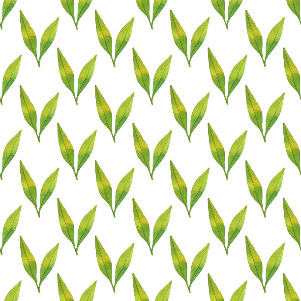 在白色背景上分离出的新鲜柑桔叶片的无缝图案。绿叶无缝图案图片下载