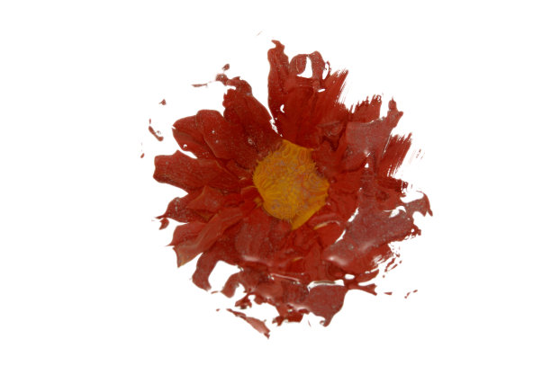 白色花朵的扭曲图片下载