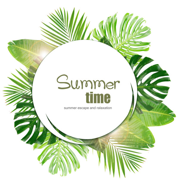 热带绿叶图片下载