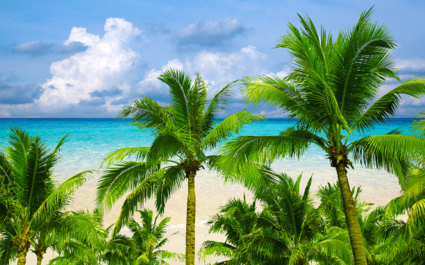 热带海洋图片下载