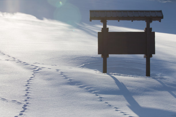 雪中的痕迹图片下载