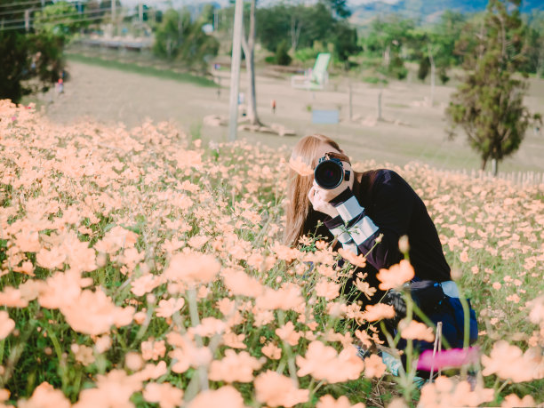 旅行和冒险的概念从美丽的黑色长发摄影师亚洲女孩与她的相机旅行和拍照在花田与软焦点的背景图片下载