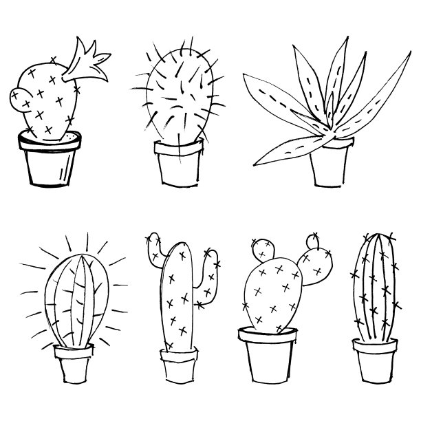 一套素描仙人掌和芦荟图片下载