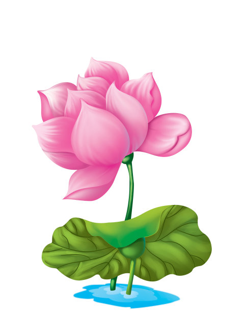 英语押韵图片下载