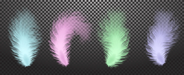 飘落的旋转的真实羽毛孤立在透明的背景上。图片下载