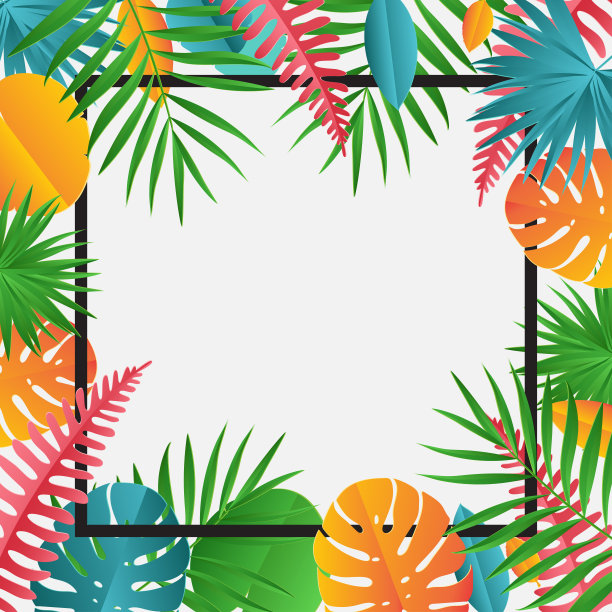 热带纸棕榈，巨叶框架。夏季热带叶。折纸异国情调的夏威夷丛林，夏日背景图片下载