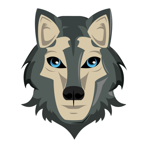 狼的野生动物图片下载