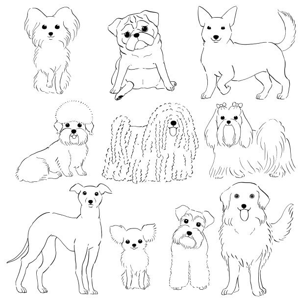 一组小狗手绘线条艺术图片下载