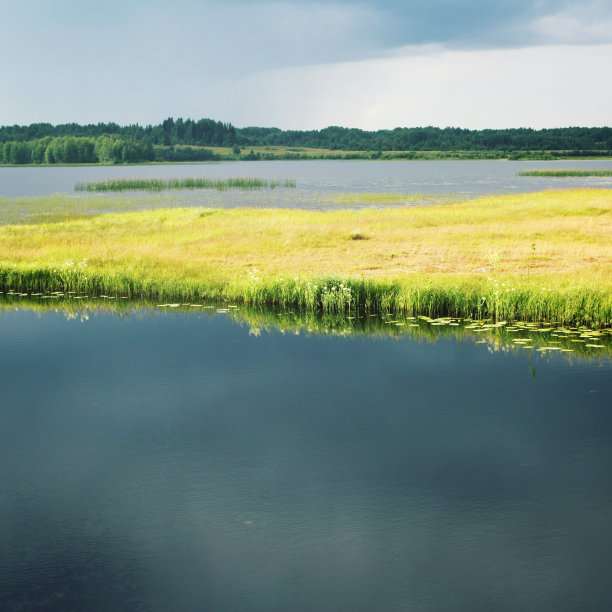 雨前的基诺零湖。夏天的一天。俄罗斯。图片下载
