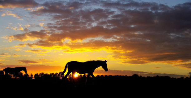 马日落图片下载