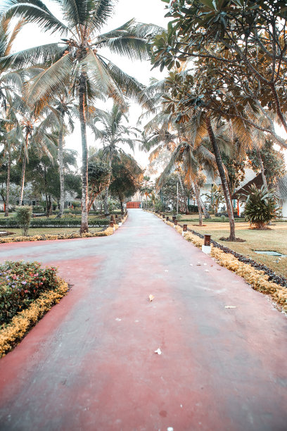 热带地区有棕榈树的度假屋。温暖的国家图片下载