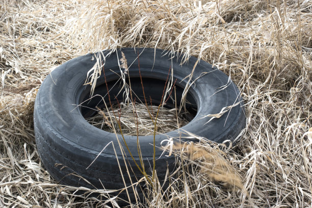 汽车轮胎躺在干燥的草地上图片下载