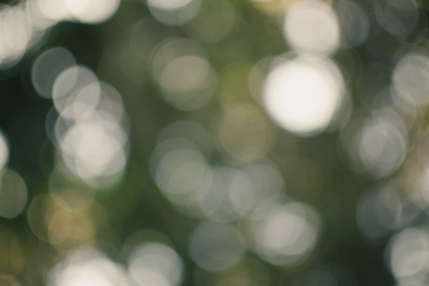 树散景背景图片下载