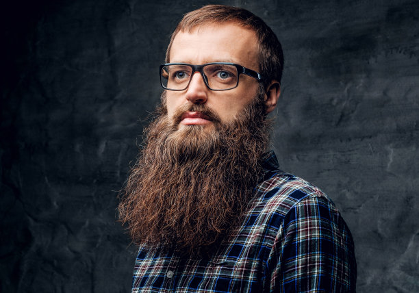 一个戴着太阳镜，穿着格子衬衫的大胡子男人。图片下载