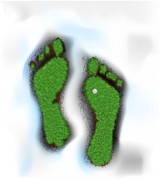 32、春天的足迹，春天的脚步，脚下的脚印像草地，四周是融化的积雪，春天的念头来了图片下载