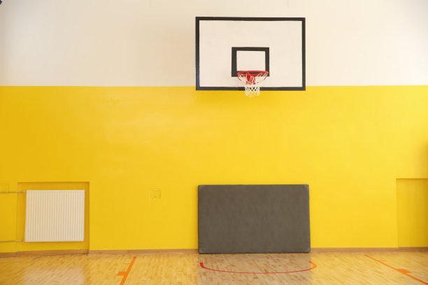 篮球场安装在学校体育馆的墙上。图片下载