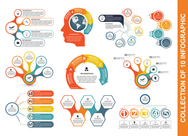 收集信息图。设计元素。用于业务演示或信息横幅的信息图。图片下载