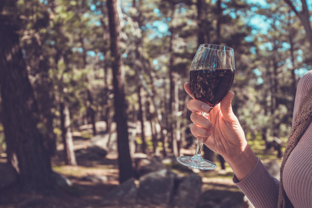 拿着一杯酒的女人图片下载