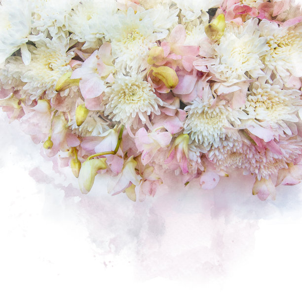 花的插图。图片下载