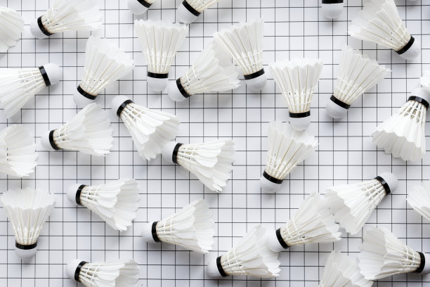 Shuttercocks集合图片下载