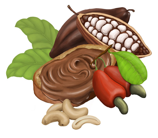 面包与巧克力酱，腰果和可可。栅格插图，孤立在白色背景上。图片下载
