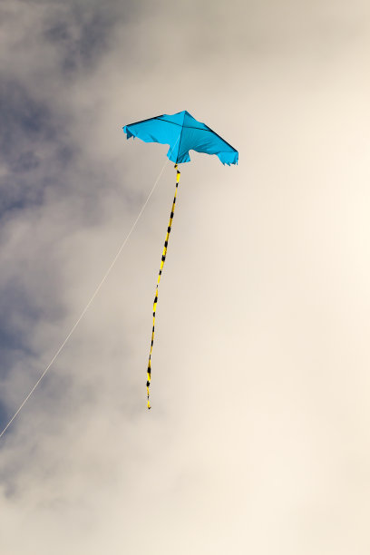 风筝在晴朗的日子里迎着蓝天飞翔图片下载