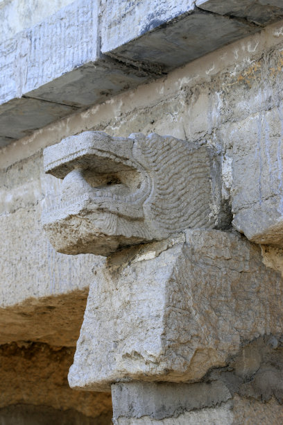 岩石动物头雕塑，特写照片图片下载