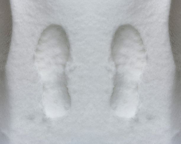 雪地上的脚印图片下载