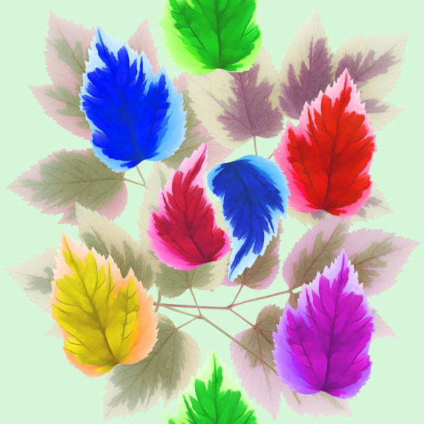 枫叶。花型纹理无缝。花背景，照片拼贴图片下载