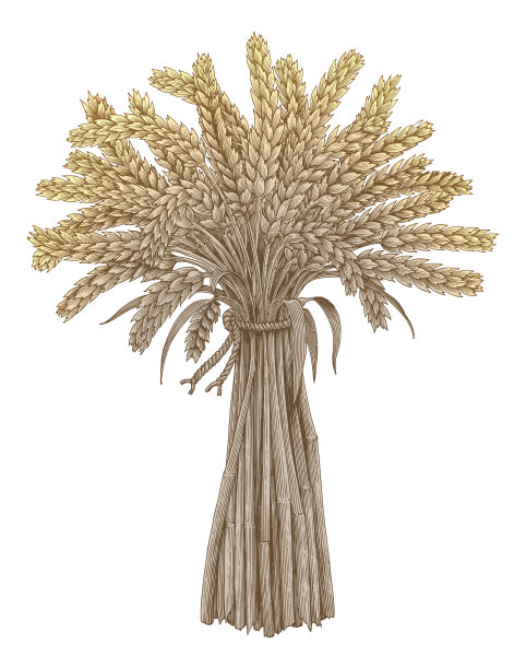 麦垛手绘复古雕刻风格，有机原料酿造啤酒图片下载