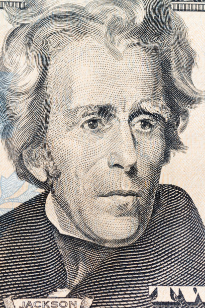 美国的美元钞票。图片下载