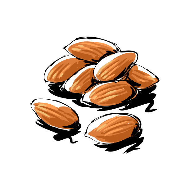 杏仁画图片下载