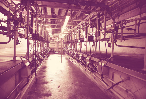 农场挤奶设备图片下载