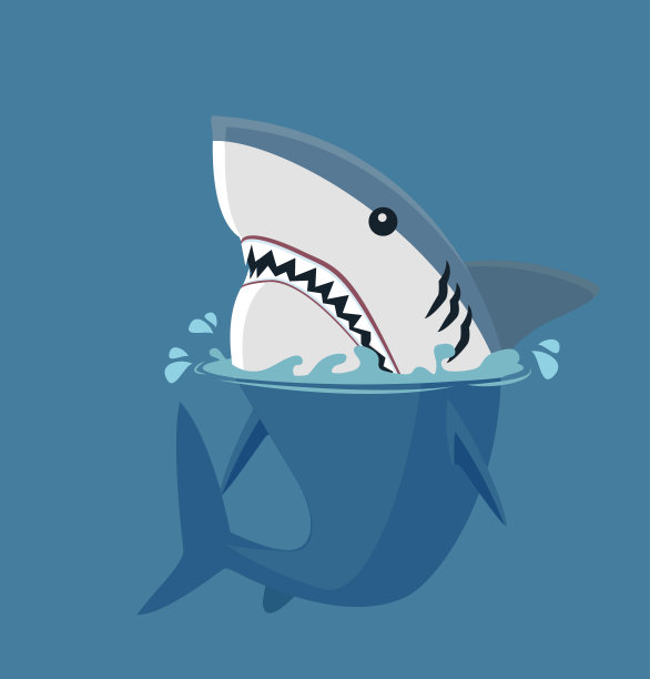 海里的大白鲨素材图片