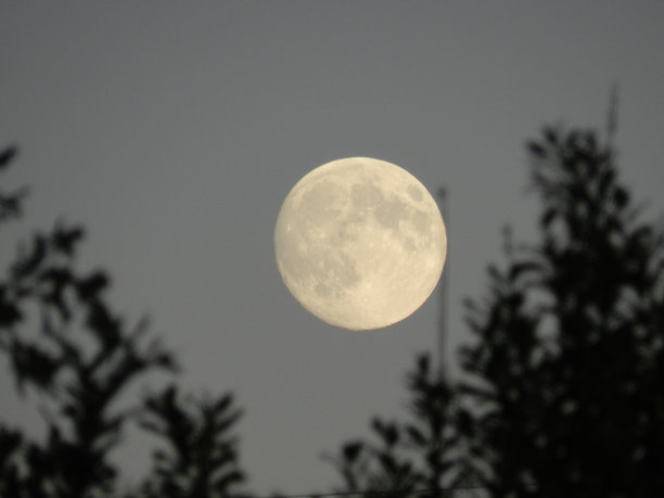 浮动夜晚的月亮图片下载