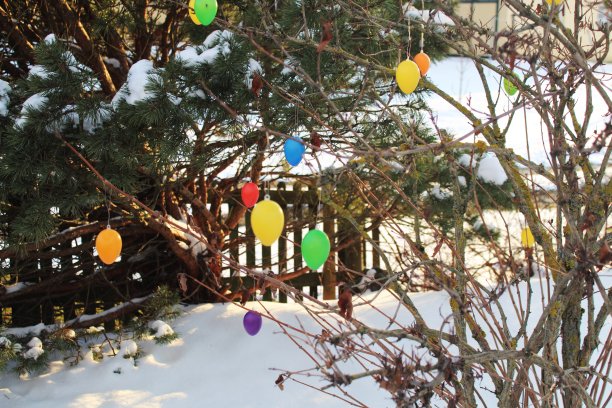 复活节传统，用五彩彩蛋装饰圣诞树，阿尔高图片下载
