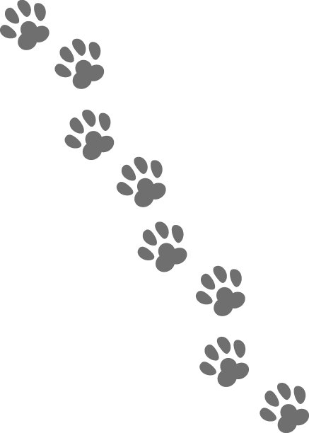 宠物追踪图片下载