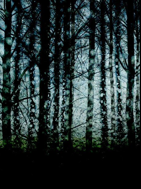 一张神秘森林的合成照片图片下载