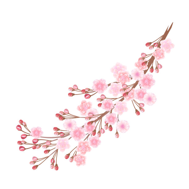 樱花枝上有粉红色的花素材图片