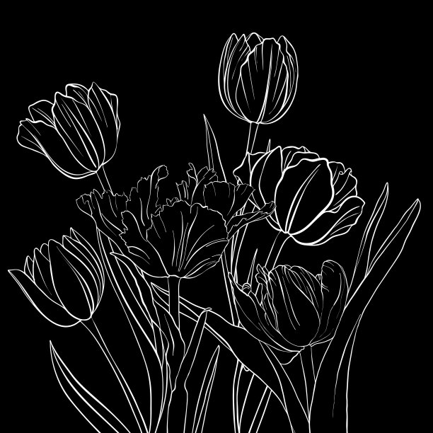 向量绘制郁金香花图片下载