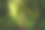 树林图片素材ID：315227448