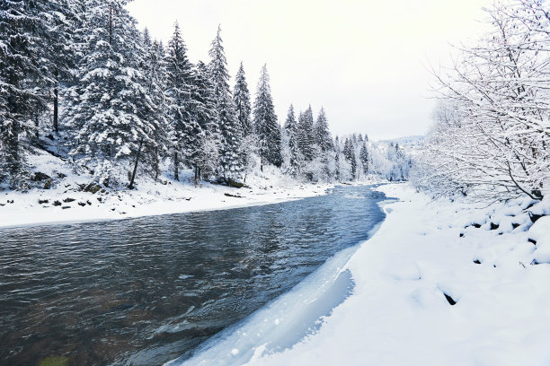 冬季徒步旅行时峡谷中的一条美丽的冬季河流。图片下载